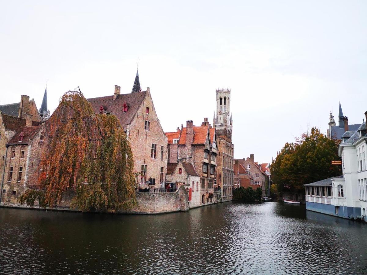 Scone - Guestroom - Centre Of In Calm Area Bruges
